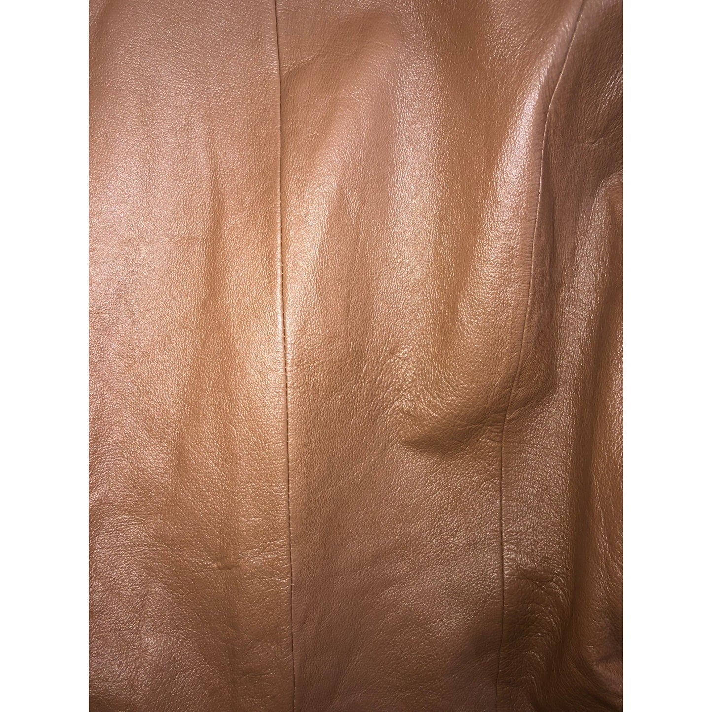 Chadwick's Brown Genuine Leather Jacket SIZE 4P NWT