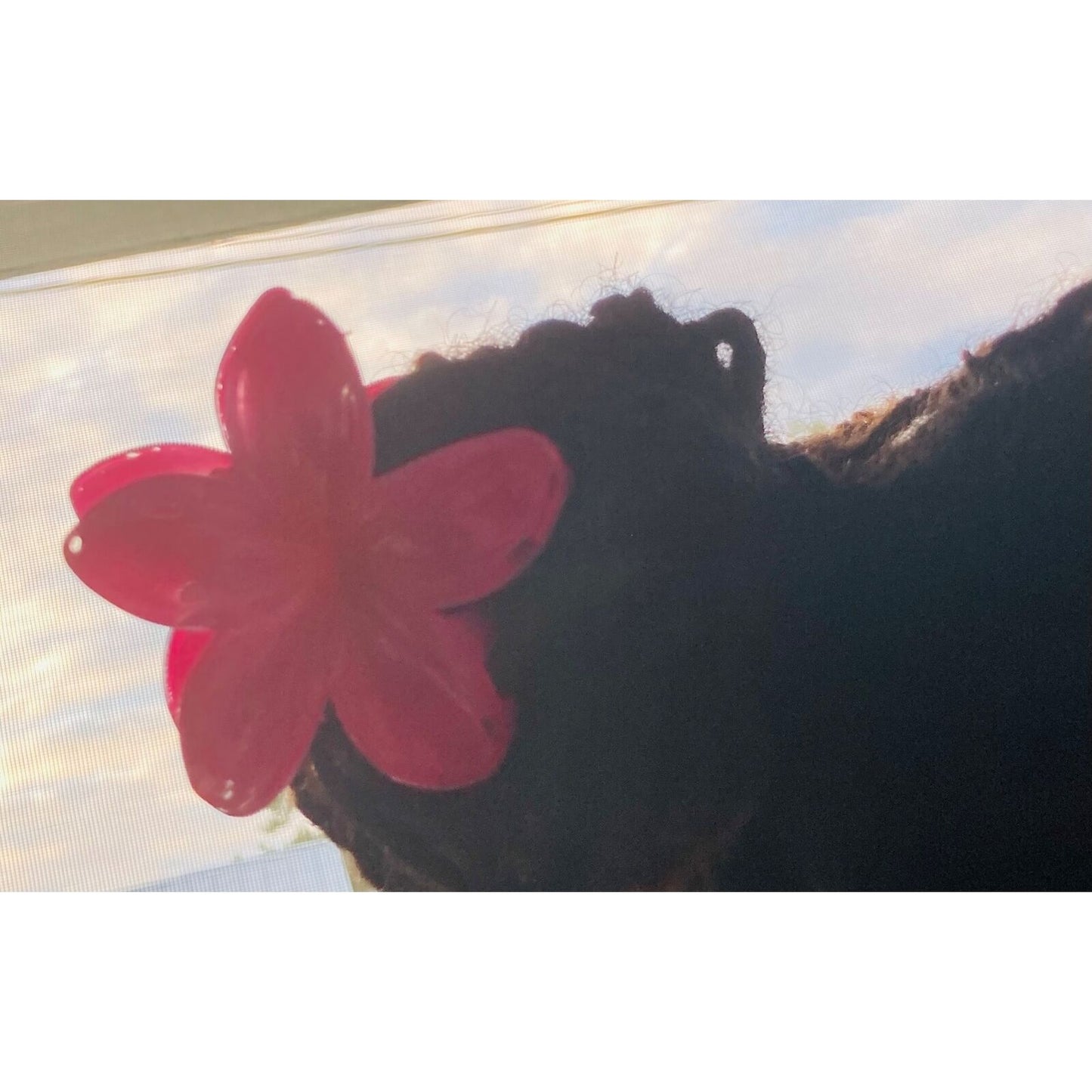 Hawaiian Hibiscus flower Hair claw clips