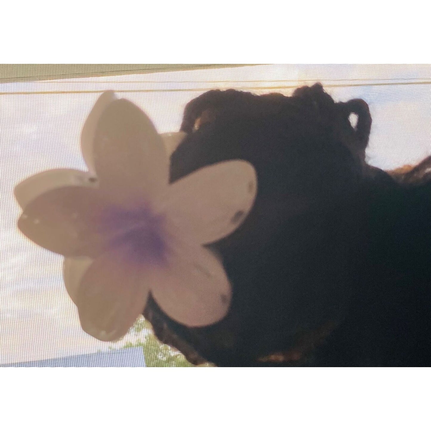 Hawaiian Hibiscus flower Hair claw clips